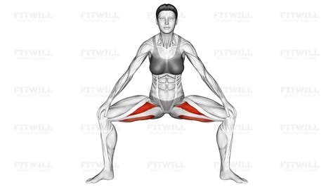 Standing Wide Knees Adductor Stretch: Exercise Guide, Techniques ...