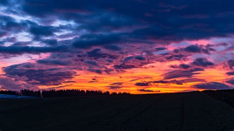 wallpaper clouds, sunset, trees, twilight, porous, dark, horizon HD ...