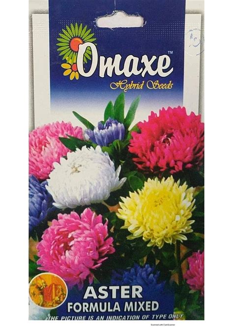 Aster Formula Mixed seeds - Urban Plants™