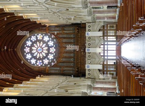 St Colman's Cathedral, organ, rose window, interior, Cobh, Munster ...