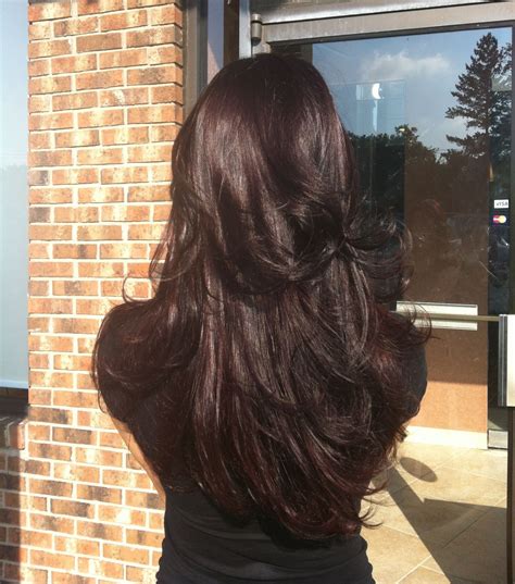 Dark brown with eggplant purple hue and long layers | Wine hair, Dark ...