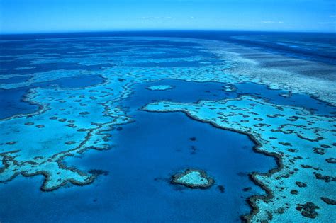 Phoebettmh Travel: (Australia) – Welcome to The Great Barrier Reef