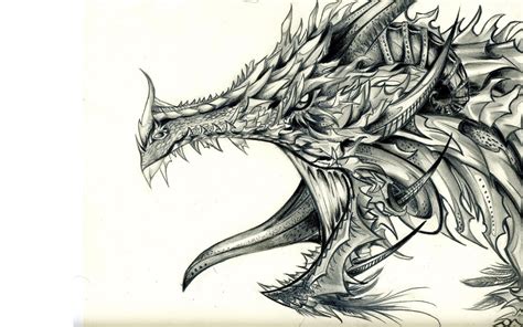 Dragon Sketch Wallpapers - Wallpaper Cave