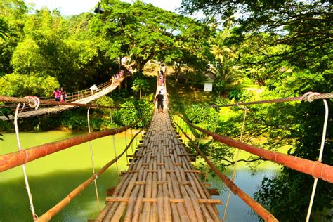 Bohol Bamboo Bridge