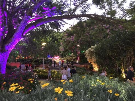 REVIEW: Enchanted Garden | Christmas at Roma Street Parkland | Families ...