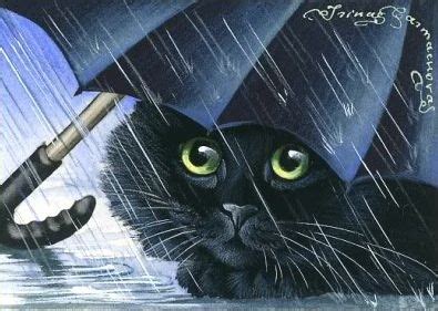 Create meme "cat in the rain, cat in the rain, kitten in the rain ...