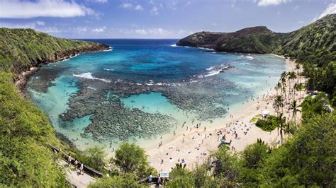 Hanauma Bay 🌴 Discover Oahu's Premier Underwater Adventure