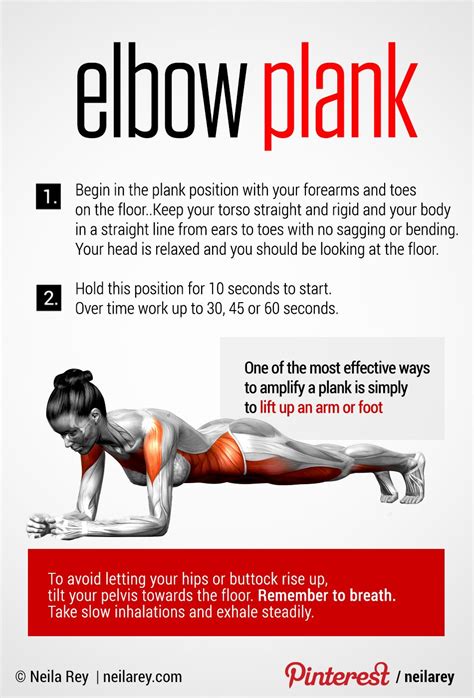 Elbow Plank - Perfect Core Exercise | Healthy fitness, Fitness body ...