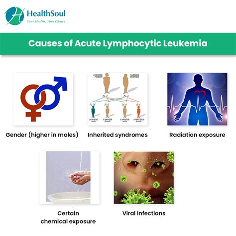 Pathophysiology Of Acute Lymphocytic Leukemia