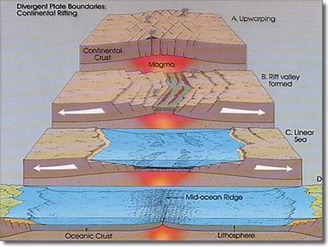 Sketch, label, and explain an oceanic divergent boundary (mid-ocean ...