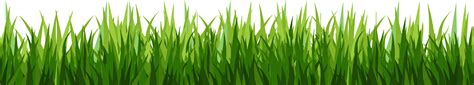 Grass Cartoon Png Free Transparent Png Clipart Images Download | Images ...