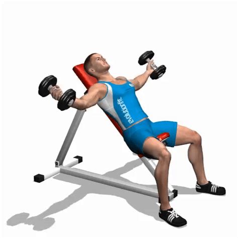 How to perform Incline Dumbbell Flyes - Chest Exercises