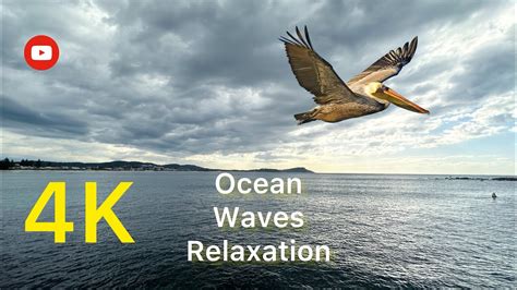 Ocean waves, relaxing, sleeping, calming music-original wave sounds ...