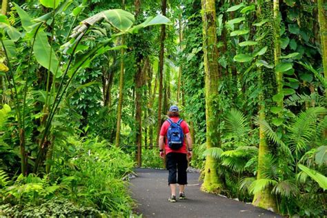 Big Island Top 25+ Hiking Trails | Best Big Island of Hawaii Hikes