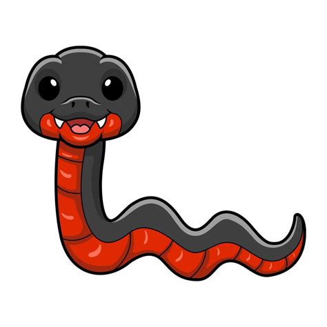 Cute red bellied black snake cartoon 20126809 Vector Art at Vecteezy