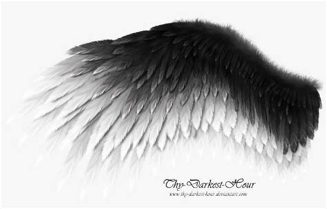 Fallen Angel Wing Png Clipart Black And White Download - Black And ...