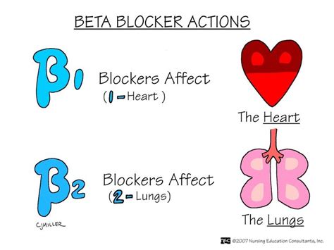 Beta-1 and Beta-2 Blockers – ONESTOPNURSING | Pharmacology nursing ...