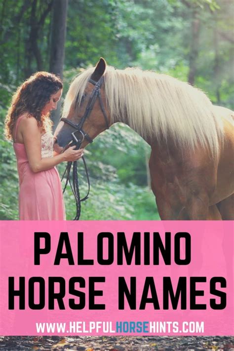 130+ Palomino Horse Names - Helpful Horse Hints