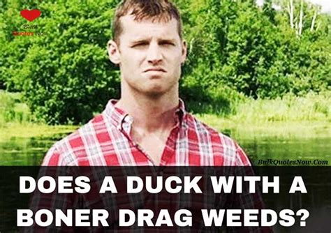 21 Best Letterkenny Quotes to Make you Laugh - Bulk Quotes Now