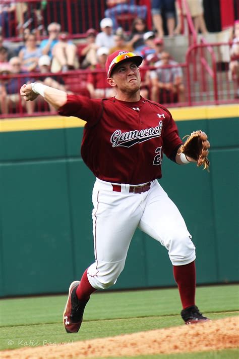 IMG_0240 | Baseball photography, South carolina gamecocks, University ...