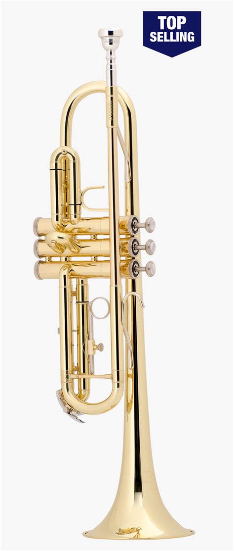 Tr300h2 Trumpet - Types Of Trombone, HD Png Download , Transparent Png ...