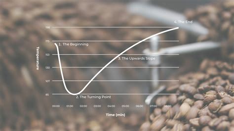 Understanding the coffee roasting curve | Roast the coffee | Everything ...