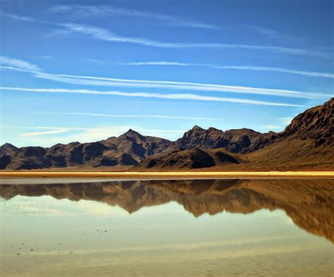 Desert Exploration - Cedar & Sand