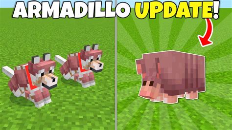 Mojang Released The ARMADILLO & DOG ARMOR! Minecraft Bedrock Beta 1.20 ...