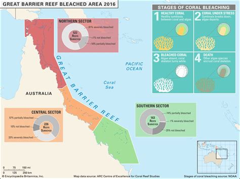 Coral Bleaching: A Threat to Our Reefs | Britannica