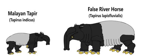 Speculative Tapir Evolution by DSU42 on DeviantArt