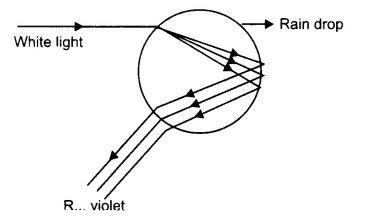 Draw a labeled diagram of rainbow formation. Also, explain the ...