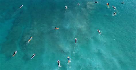 Drone View Of Surfers On The Beach Free Stock Video Footage, Royalty ...