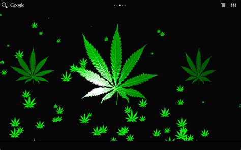 Marijuana Leaf Wallpapers HD - Wallpaper Cave