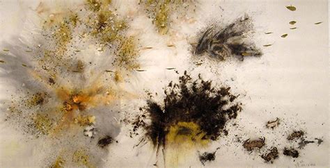 Cai Guo-Qiang: Fallen Blossoms