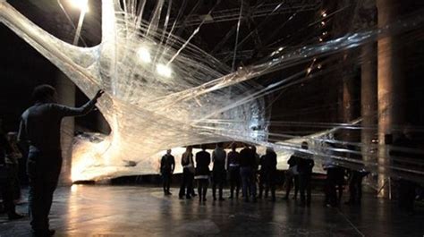 Strange world: World’s Largest Spider Web Ever Spun