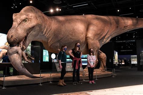 Sue the T. rex has taken over Denver Museum of Nature & Science, and it ...