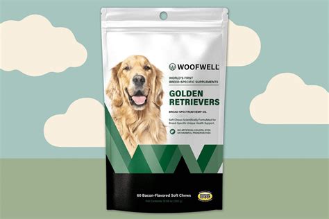 The 11 Best Joint Supplements for Dogs | Daily Paws