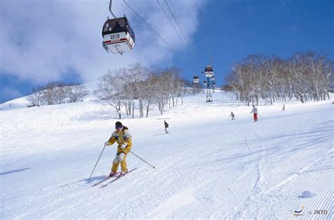 日本北海道洞爷湖温莎酒店美景+Tomamu星野酒店滑雪+阿寒湖鄙之座酒店温泉 6晚7日度假_八大洲旅游