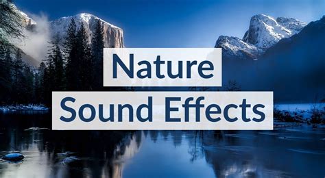 Royalty Free Nature Sound Effects - TunePocket