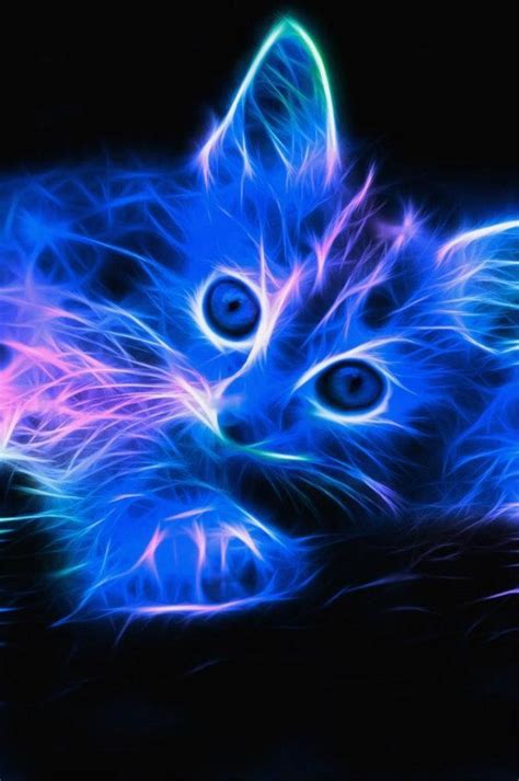 🔥 Free download Neon Cat Photography 3D and Fractal Pinterest [638x960 ...