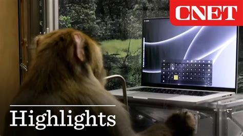 Elon Musk Shows Latest Neuralink Demo of Monkey Typing with its Mind ...