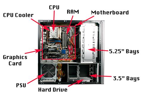 give a labelled diagram of the cpu and it's parts - Brainly.in