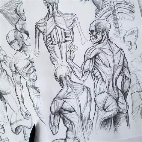 Human Anatomy Pencil Drawing : Human Body Parts Pencil Drawing ...