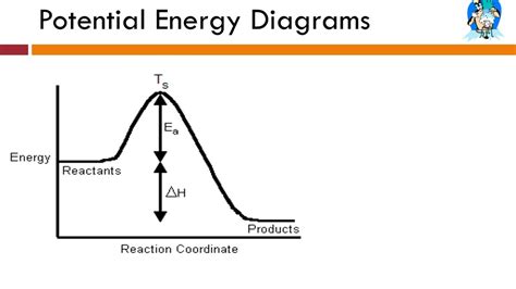 How To Create A Potential Energy Diagram