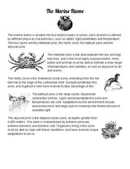 Marine Biology: Marine Biome Zones Reading W/ Questions & Vocabulary