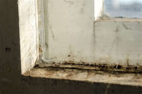 How To Prevent Mold In Your Air Conditioner | Island Comfort