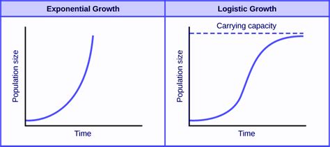 Define Logistic Growth