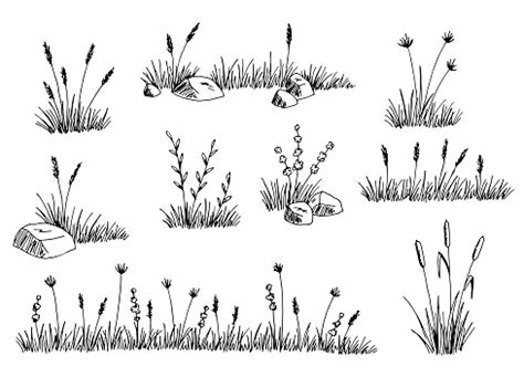 Grass Set Graphic Black White Isolated Sketch Illustration Vector Stock ...