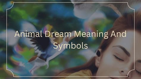 Animal Dream Meaning And Symbolism