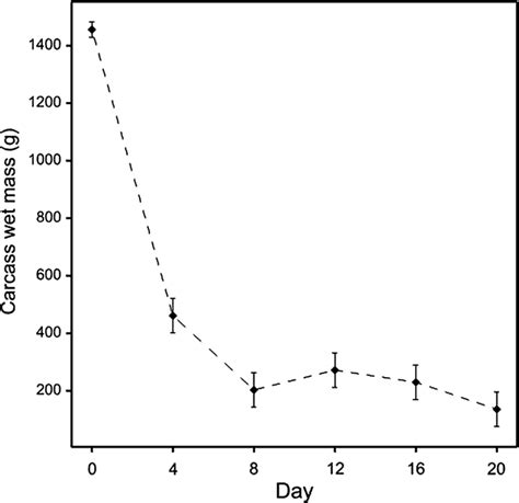 The proportion of carcass mass remaining over 20 days of decomposition ...